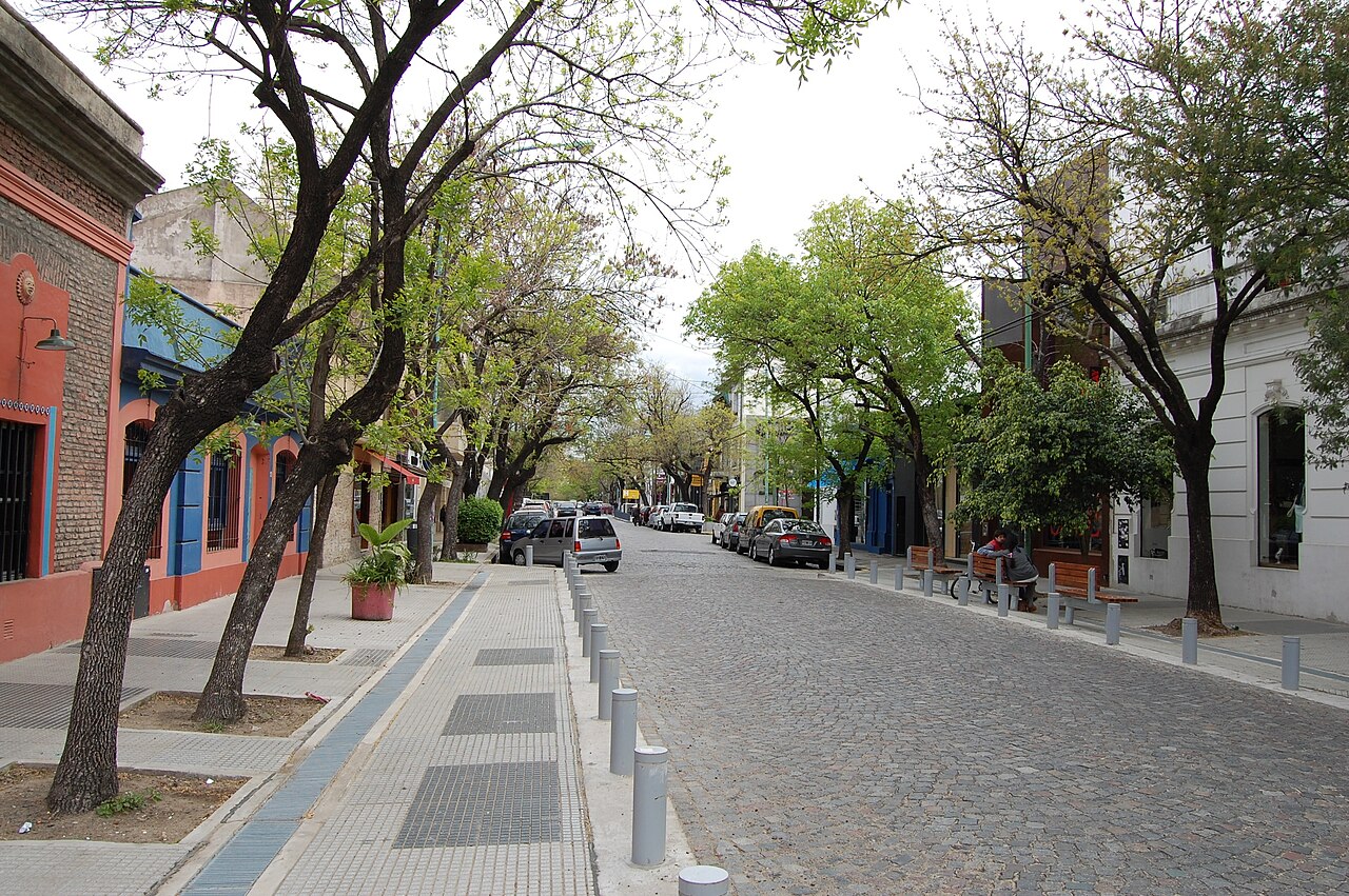 Cobblestones and street trees on Gurruchaga Street in Palermo Soho, Buenos Aires.
